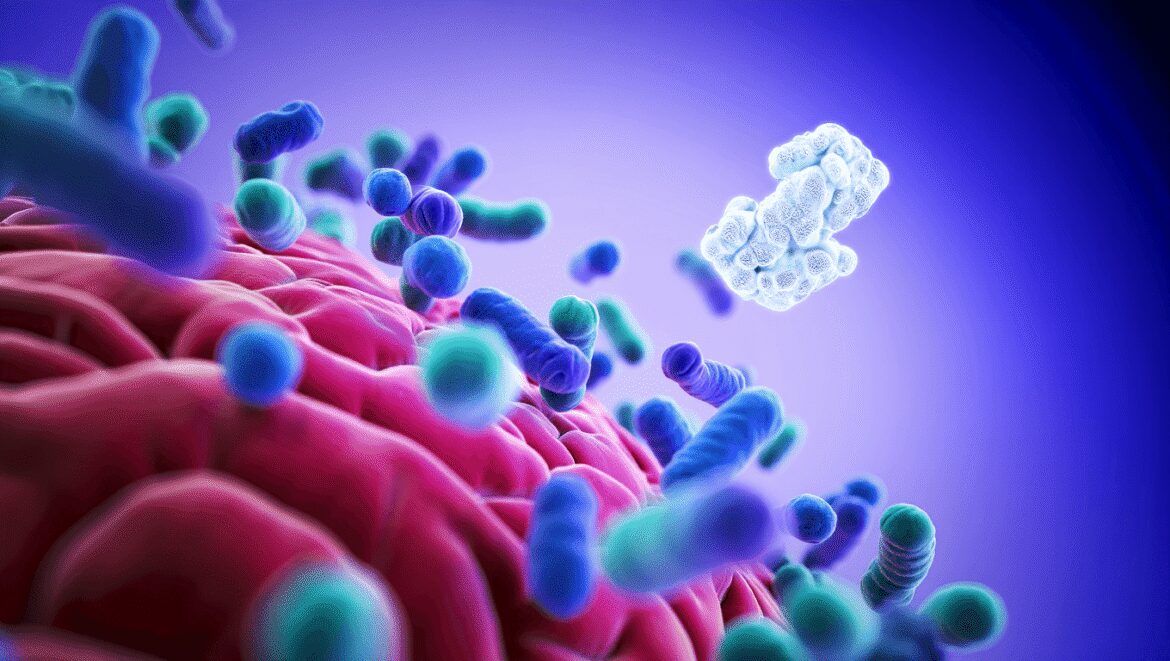 Diabète de type 2 : l’analyse du microbiote peut prédire le risque 