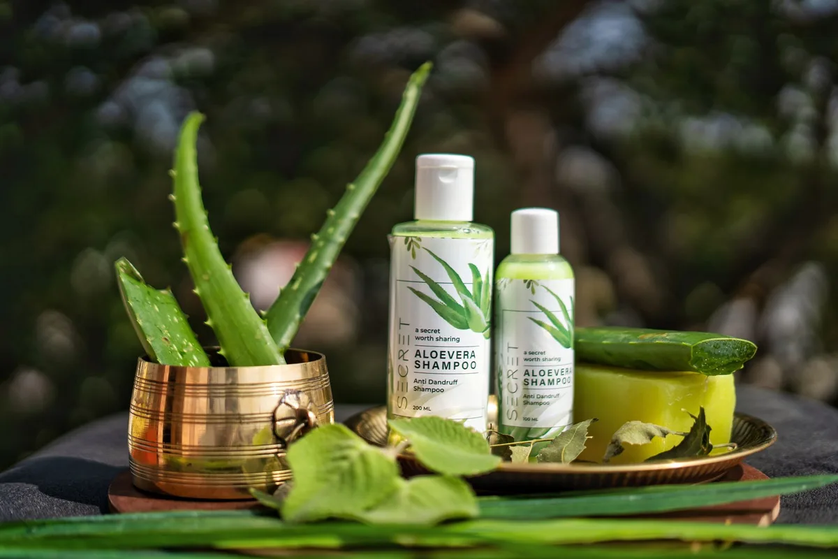 Ingrédients cosmétiques naturels comme l'aloe vera pour hydratation et soin de la peau