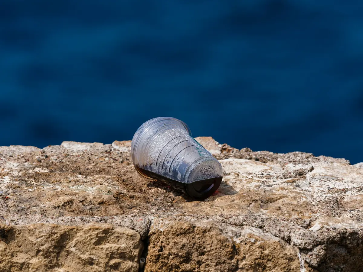 Eau contaminée et non traitée, source de transmission du choléra par voie fécale-orale