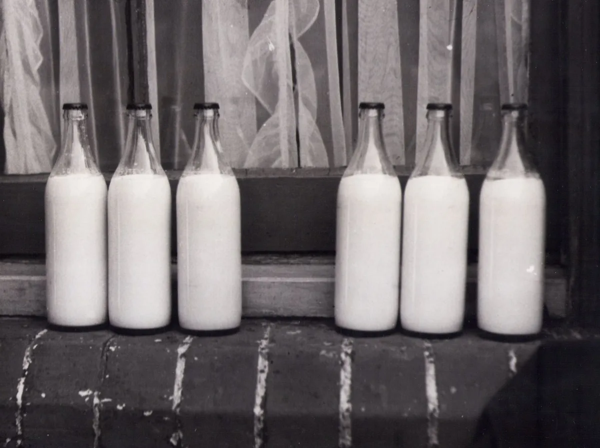 Comparaison visuelle de trois types de lait : entier, demi-écrémé et écrémé