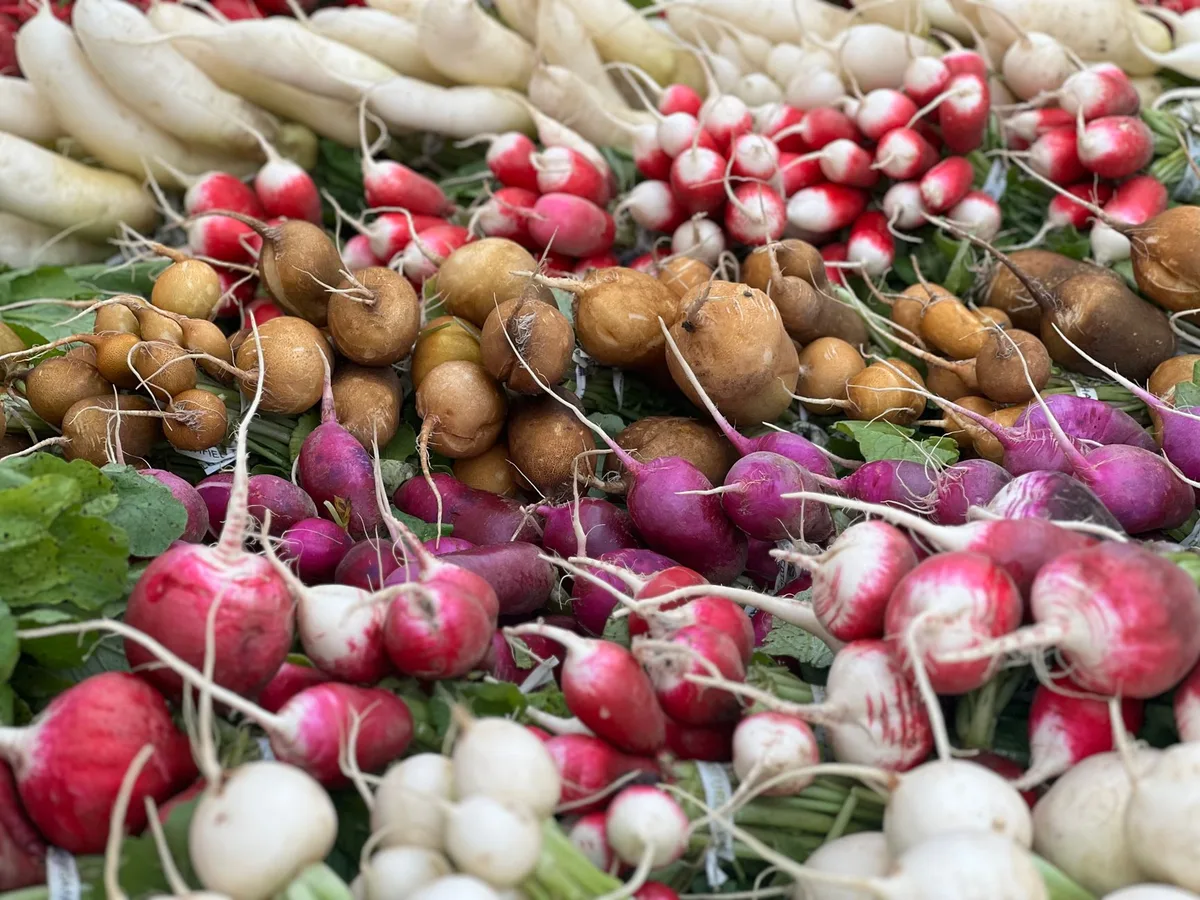 Variété de légumes frais et aliments riches en fibres pour la digestion