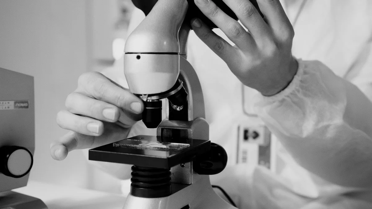 Embryon au stade blastocyste observé au microscope en laboratoire de FIV