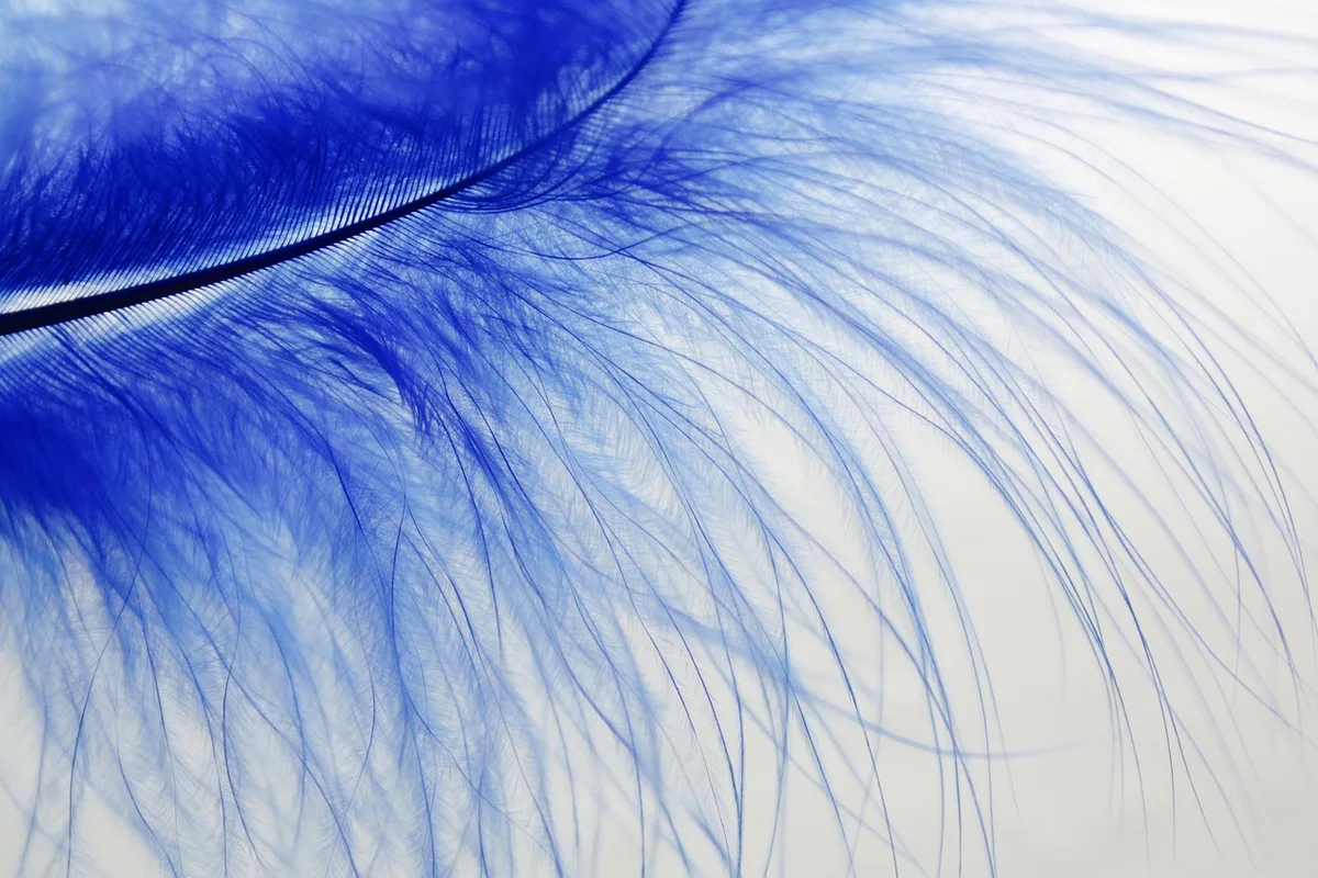 Cheveux fins et plats manquant de volume à la racine avant traitement