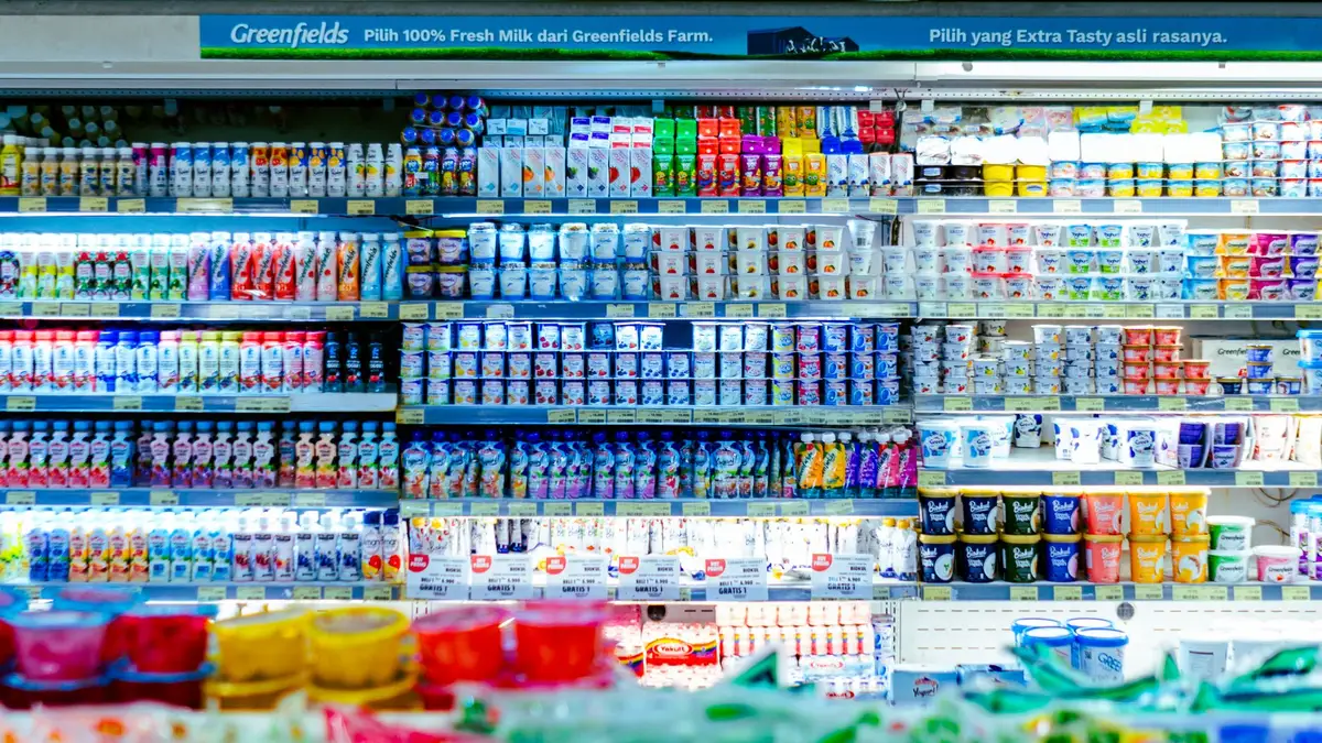 Assortiment de produits laitiers nature : yaourt, fromage blanc et lait dans des bols et verres