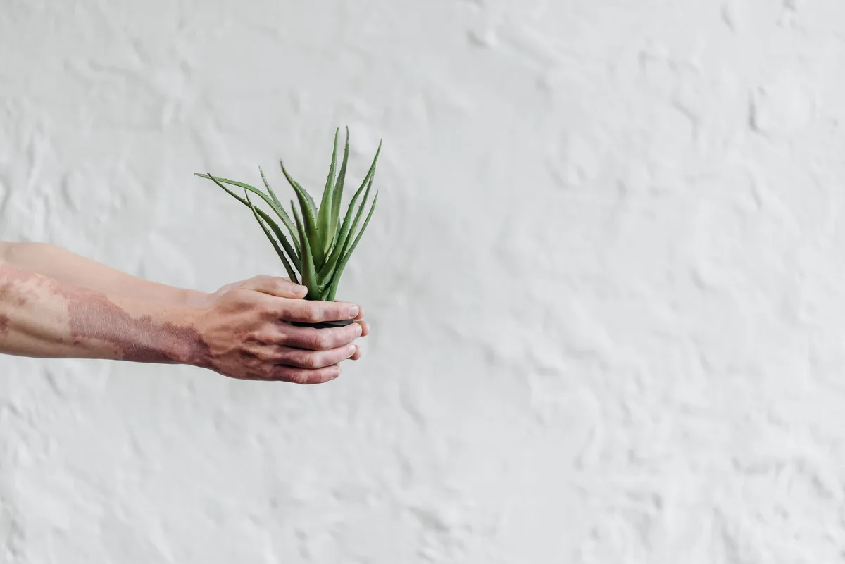Produit de soin naturel à base d'aloe vera pour les aisselles sensibles