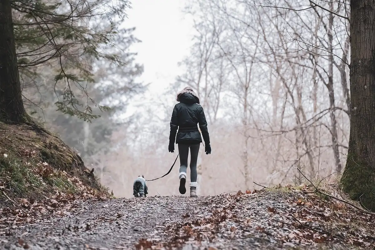 Une personne promène un chien en plein air pour l'activité physique quotidienne