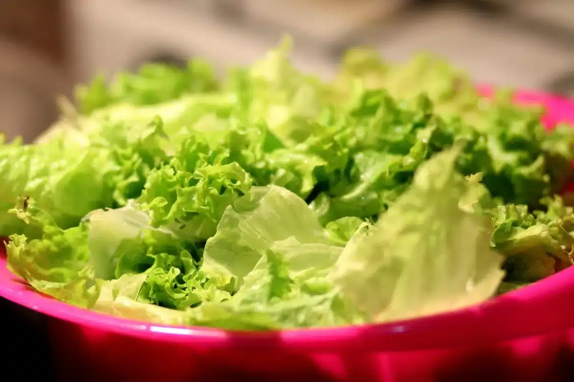 Bol contenant des aliments riches en fibres, verres d'eau et graines sur une surface neutre, illustrant une approche pro