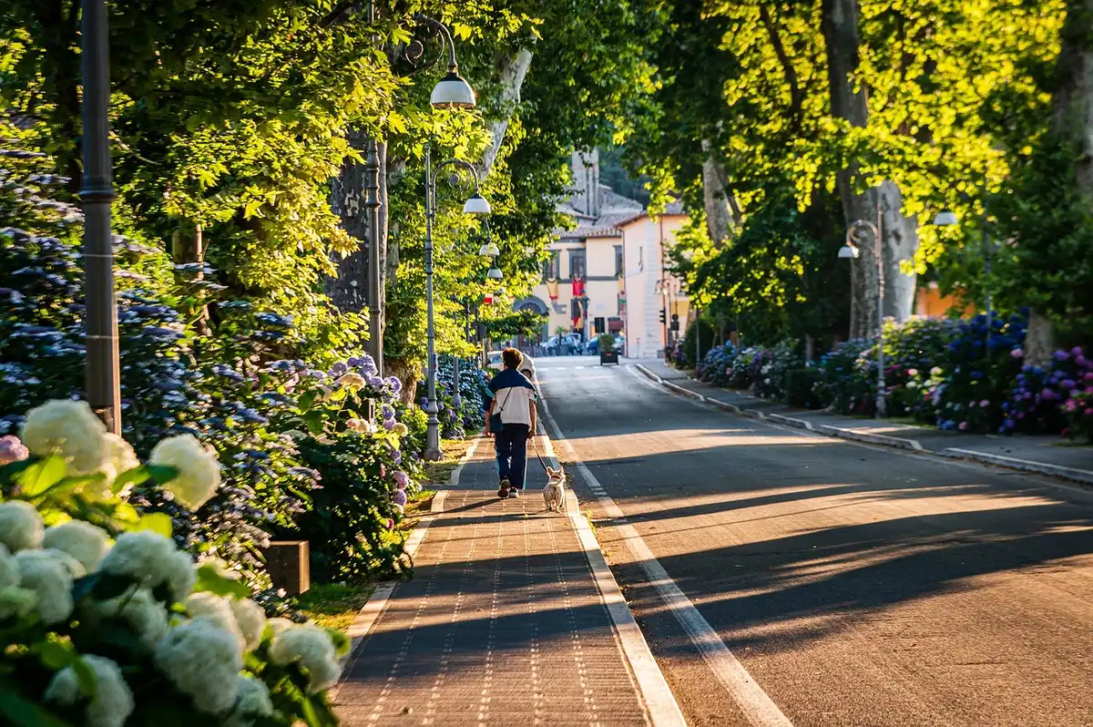 Promenade matinale avec un chien avant la chaleur du jour