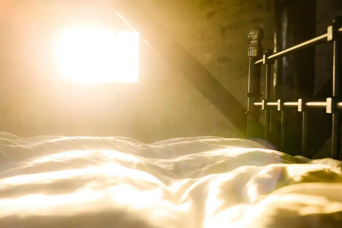 Personne lisant près d'une fenêtre en lumière naturelle le matin