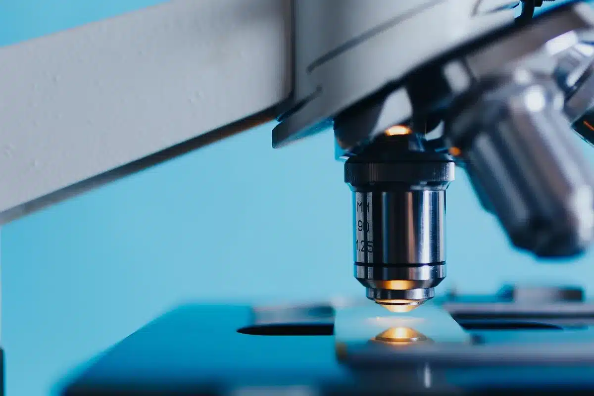 Analyse microscopique de cellules immunitaires modifiées par le microbiote
