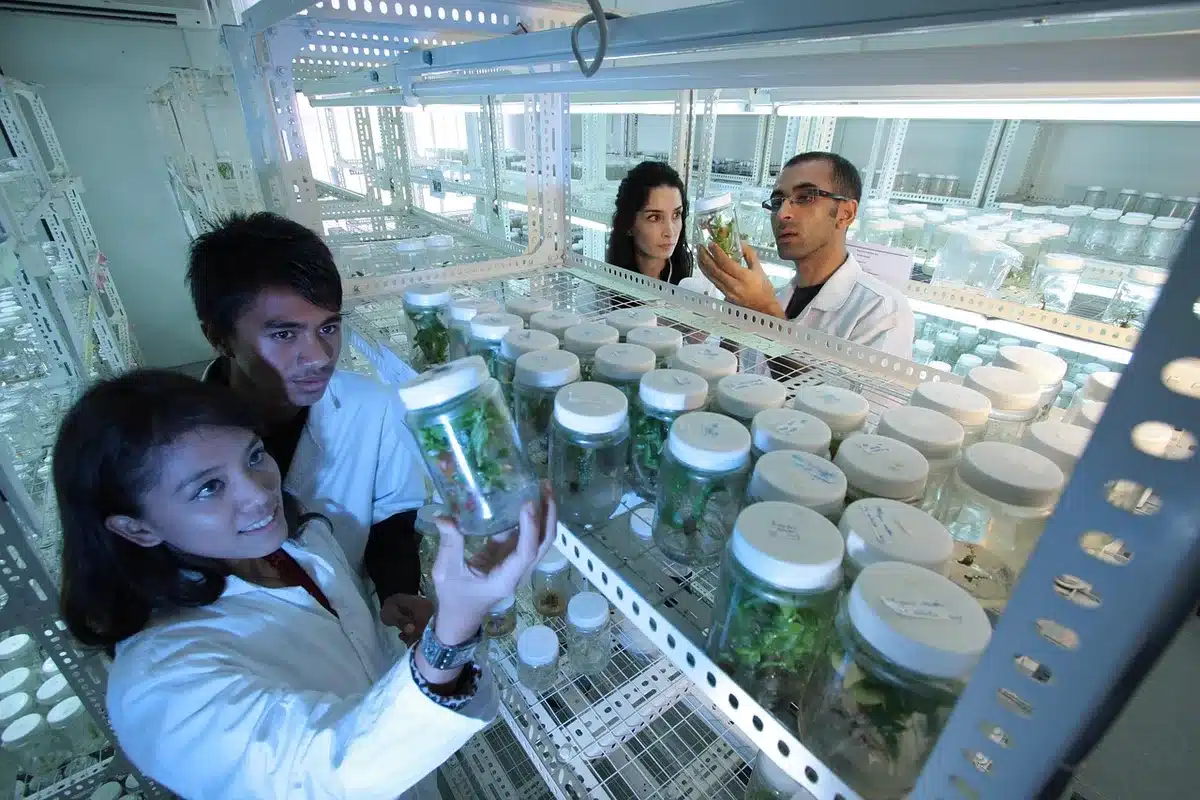 Chercheuse consultant des données cliniques et résultats en laboratoire