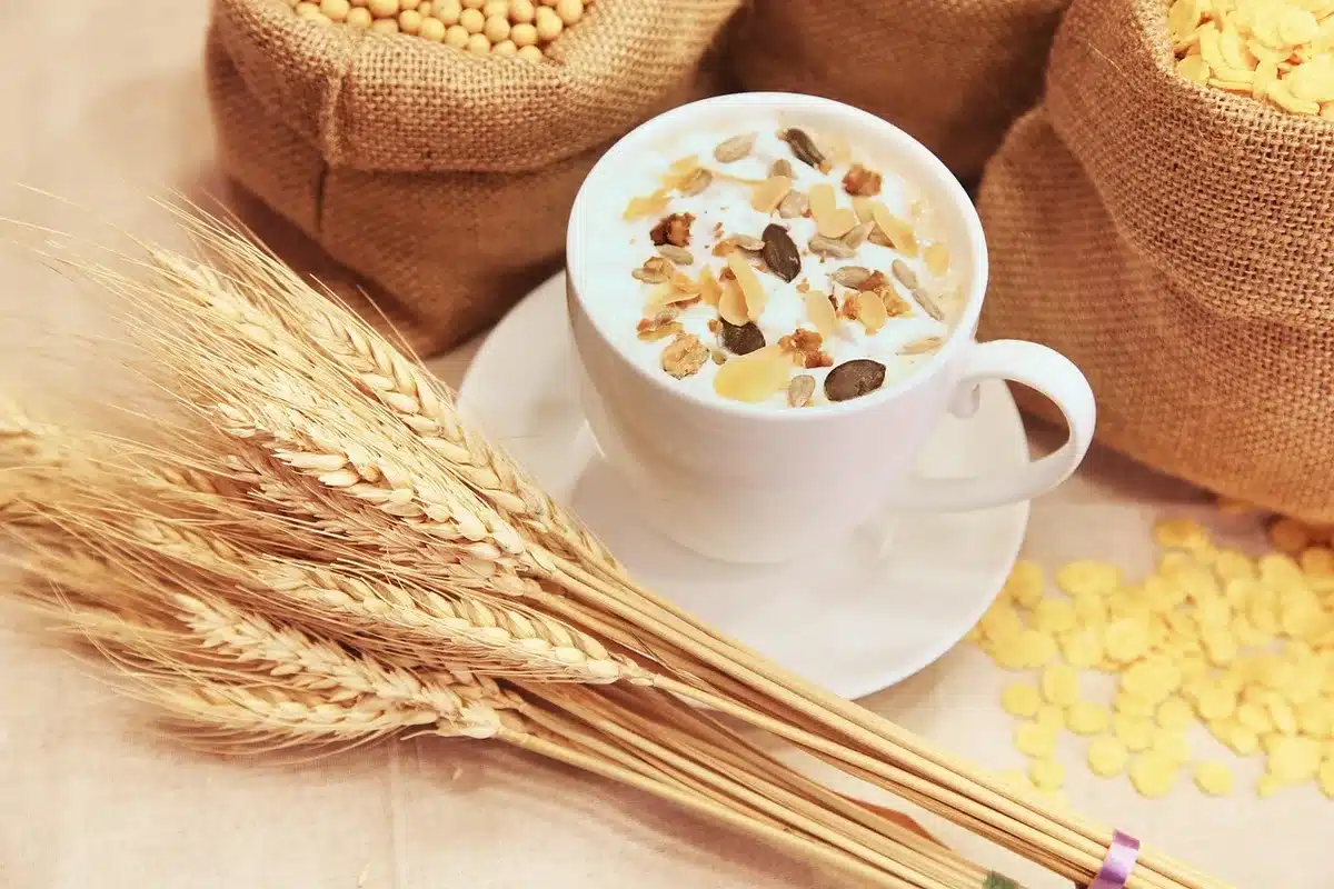 Bol de smoothie préparé avec lait végétal et fruits