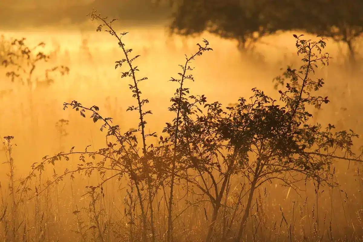 Personne prenant des notes près d'une fenêtre en lumière du matin
